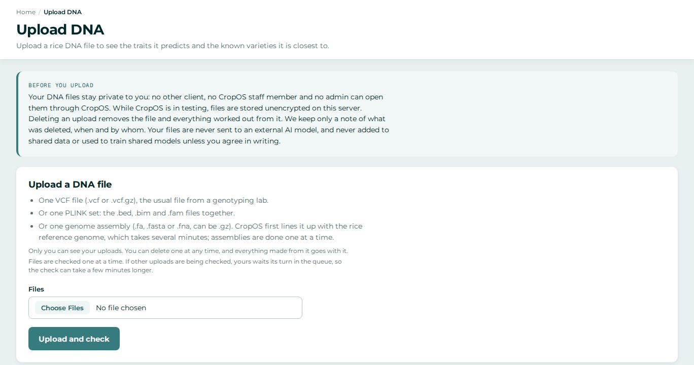 RaiOS Upload DNA page: before you upload, your DNA files stay private to you; upload a VCF, PLINK set or genome assembly